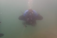 2022_TGW_meets_Frogs_008