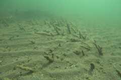 Unterwasserarchaeologie-2023-040