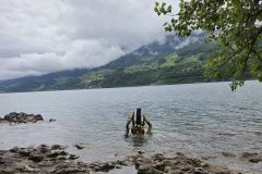 wallensee-14.05.26-001