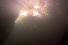 Westschweiz-2025-002