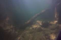 Westschweiz-2025-004