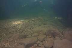 Westschweiz-2025-007