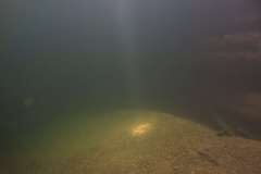 Westschweiz-2025-010