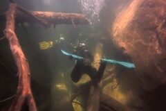 Westschweiz-2025-011