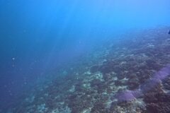 Westschweiz-2025-013