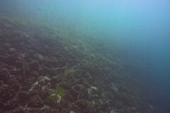 Westschweiz-2025-018