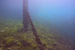 Westschweiz-2025-020