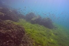 Westschweiz-2025-021