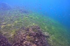 Westschweiz-2025-022