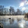 Alter Rhein Einstieg mit Nebel