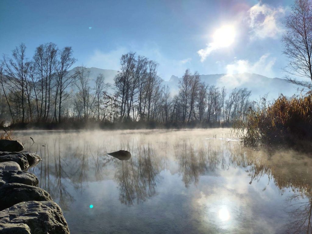 Alter Rhein Einstieg mit Nebel