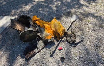 Abfall aus dem Alten Rhein