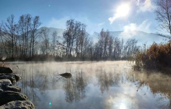 Alter Rhein Einstieg mit Nebel